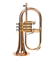 The Oldroyd Opus7 Flugel Horn