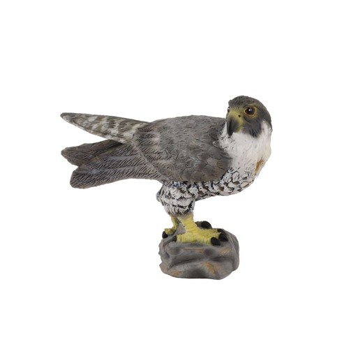 Collecta peregrine falcon - collecta,