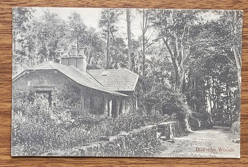 1909 bodvean woods - 1909, nefyn