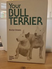 Your bull terrier marilyn - your,