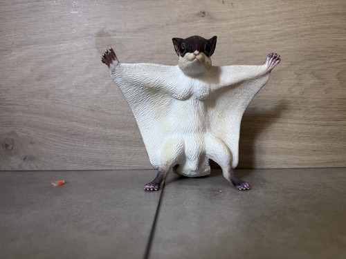 Giant flying squirrel toy like - flying,