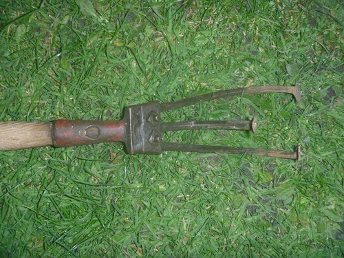 Vintage antique garden - /,