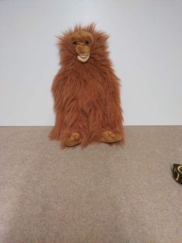 Orangutan monkey hand - monkey, puppet