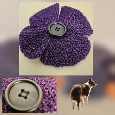 r.  Dark Purple Sparkle Poppy