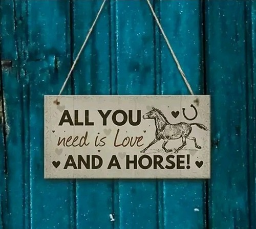 Stable door equestrian novelty - stable,