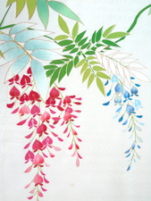 [AYANE] WISTERIAS  - Japanese