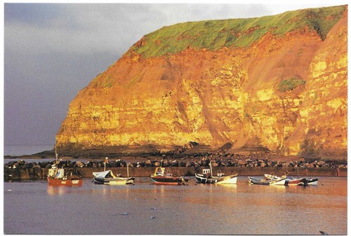 Postcard north yorkshire - postcard,