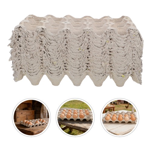 Pcs flat egg - pcs,