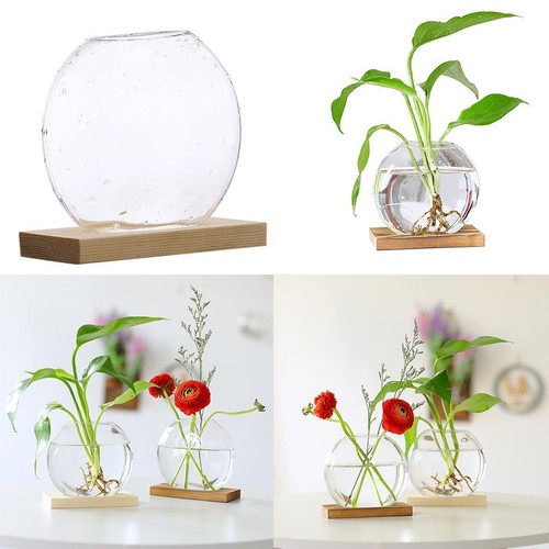 Modern hydroponic glass - modern,