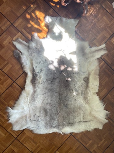 Reindeer fur 140cm - xl,