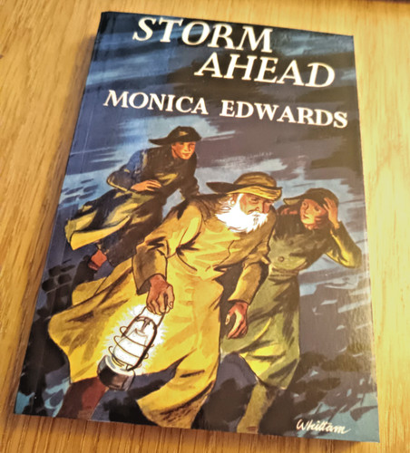Monica edwards storm ahead - monica,
