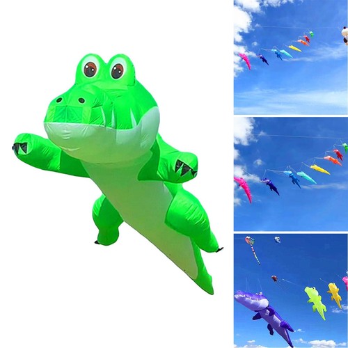 Kite for beginners - kite,