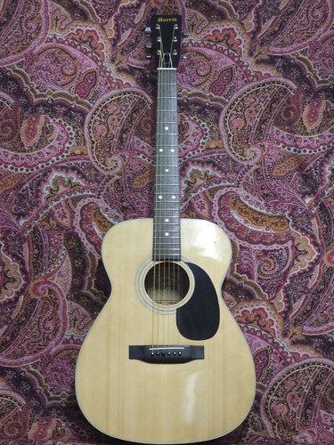 Vintage morris acoustic - f-15,