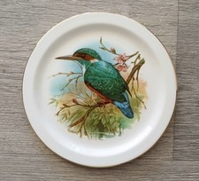 Royal Vale Kingfisher Small