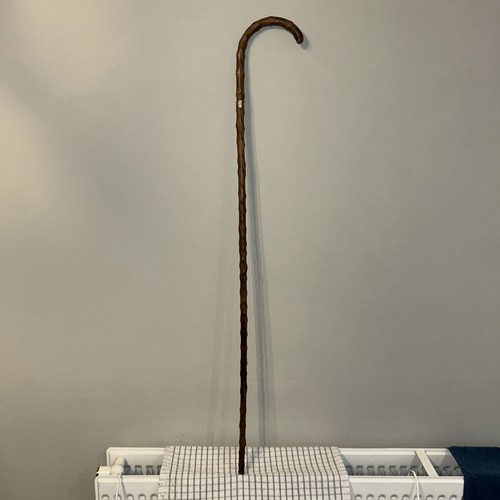 Antique walking stick - , unusual