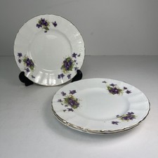 Vintage Salisbury Crown China