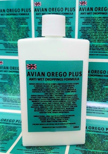 Orego oregano racing pigeon - racing,