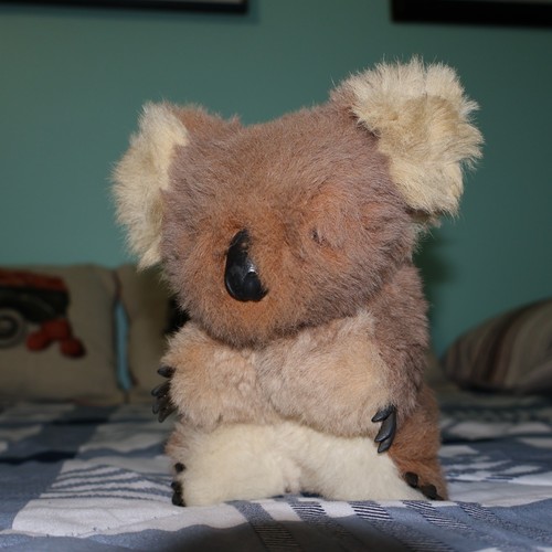 Koala plush made from - koala, genuine