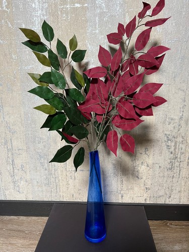 Ficus bunch red - 2,