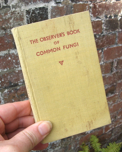 1955 observer book common - of,