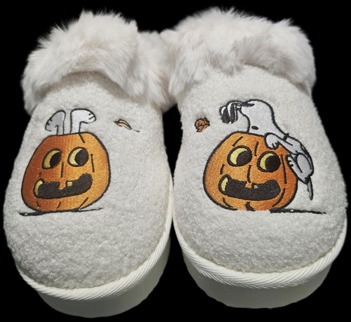 Fall peanuts snoopy - ae,