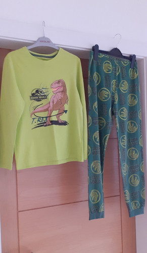 Boys jurassic world pyjamas - pyjamas,