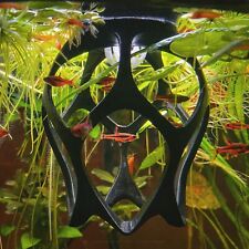 Floating Betta Play Ground