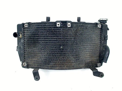 Radiator honda 1300 pan - 1300,