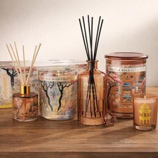 Home Fragrance Reed Diffuser