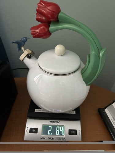 Ancona kettle hummingbird - ancona,