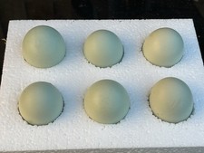6 Araucana Bantam Eggs