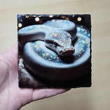 Royal Python Snake Slate