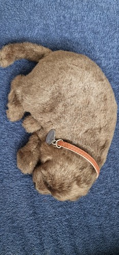 Perfect petzzz chocolate - petzzz,