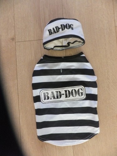 Bad dog bandit - robber, outfit