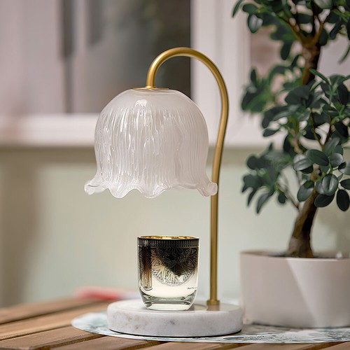 Tulip glass flower - flower, table