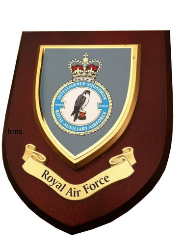 Raf wall plaque - raf,