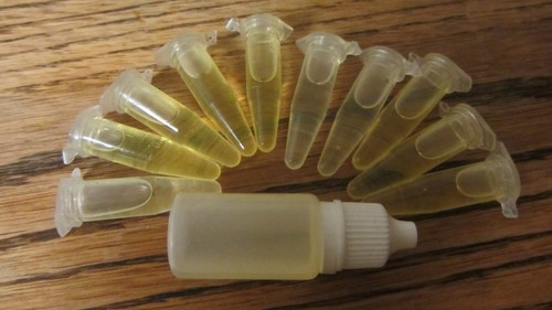 Honey bee swarm attractant - bee,