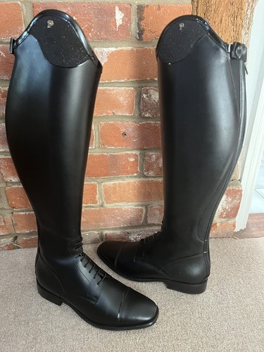 New petrie riva dressage - petrie,