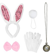 5 Pcs Shiny Pink Bunny Costume