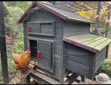 chicken house coops
