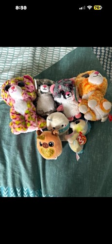 Beanie boo plush bundle - plush, lot