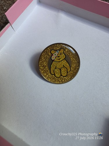 Pudsey children need pin - pudsey,