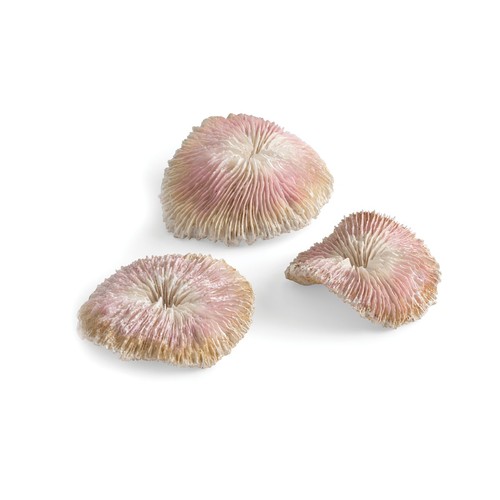 Biorb plate coral trio set - trio,