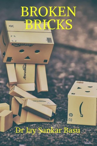 Broken bricks paperback - paperback, dr