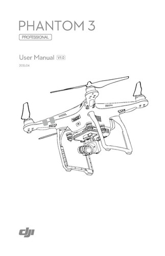 Dji phantom professional - dji, 3