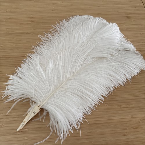 Beautiful large 1920s antique - large,