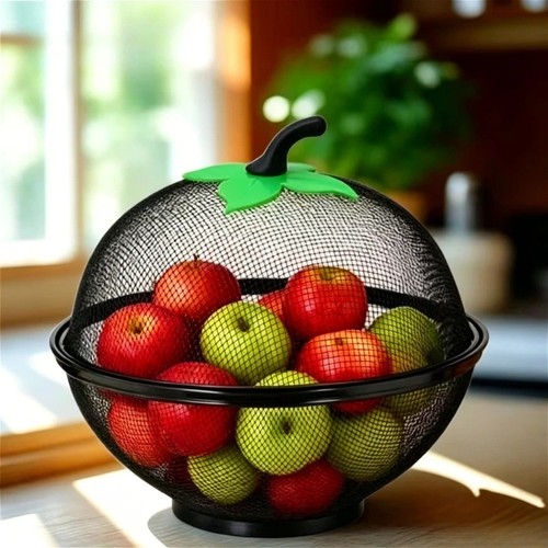 Fruit fly proof - fly, bowl