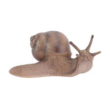  Simulation Snail Toy