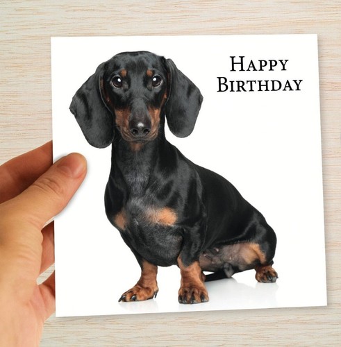 Dachshund birthday cards - dachshund,