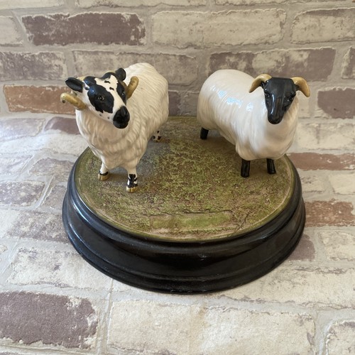 Beswick black faced - black, ram
